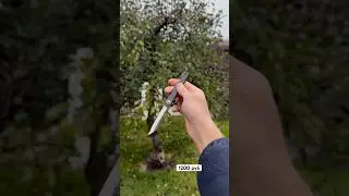 Компактный складной нож 👍  Артикул WB: 259278975     #хигоноками #ножи