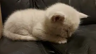 Я в шоке 🙀!!!
