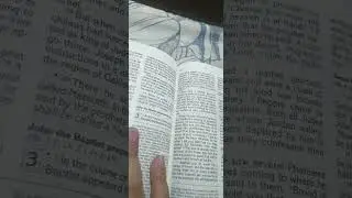 Why Joseph was told to go to Egypt out of all places #bible #newtestament #jesus