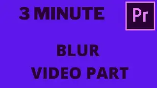 Premiere Pro  How to Blur Part of Video 2021