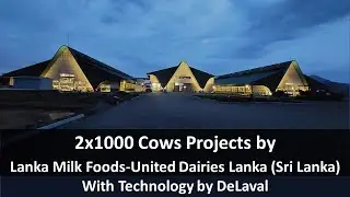 2x1000 cows UDL Project Conception