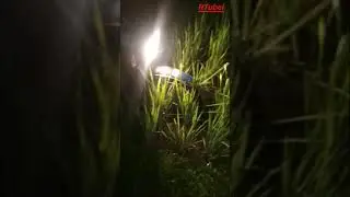 Khalato bhai er gontobbo jokhon patkhet with bike 🚴‍♀️ night ride