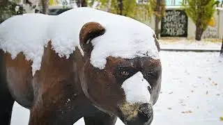 Снежное кружево