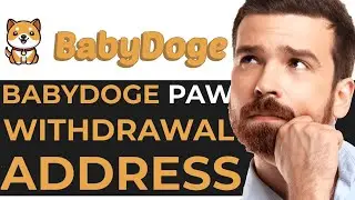How to Connect a Withdrawal Address in Baby Doge Paw’s - EASY GUIDE
