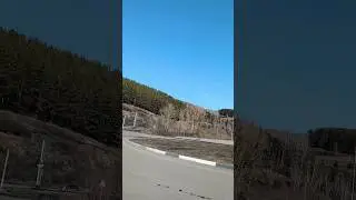 Скоро всё зацветёт 💚🌼☺🍃🫒