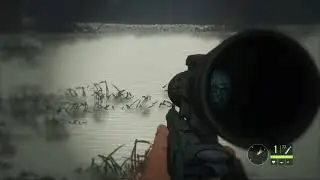 Alligators in Hunter are crazy!