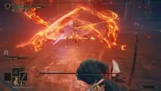 [Elden Ring] Rellana, Twin Moon Knight (No Damage/+0 Blessing/No Parry/2h Melee)
