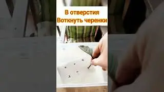 самый простой способ черенкования гортензии "для новичков "
