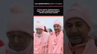 Как удовлетворить Шрилу Гурудева, 1