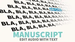 Hindenburg PRO, Version 2 - Manuscript