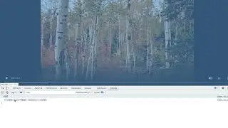 JavaScript HTML5 APIs 036 Fullscreen Mode for a Single Element