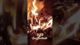 Feu 🔥 de Camp au désert 