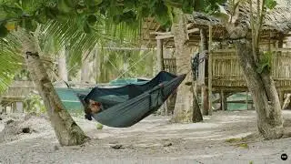 Just chilled  hammock  #nature #video #travel #short