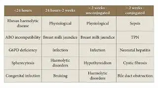 Paediatrics - neonatal jaundice