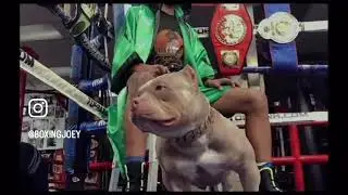 Felix ‘Tito’ Trinidad brutal body shot against Larry Barnes!  