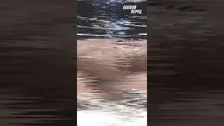 Легендарный камбэк Фёдора! 