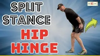 IMPROVE WALKING | BALANCE | STRENGTH | ENDURANCE  - Multiple Sclerosis Exercise