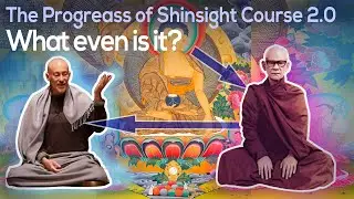 The Progress of Shinsight 2.0 Course - A Brief Overview