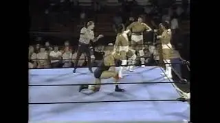 Ricky Steamboat, Jay & Mark Youngblood vs. Bill Howard, Tom Lintz, Terrible Link (September 7, 1983)