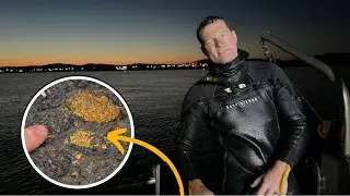 We're diving all night to find gold