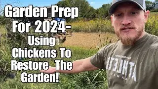 Garden Prep 2024 Pt.1 - Using Chickens To Restore The Garden