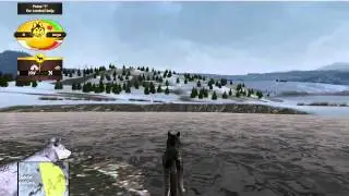 HOW TO WALK ON WATER GLITCH WOLF QUEST
