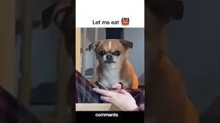 Marked leather memes