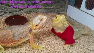 Дерил и Бэт