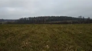 Поиск кладов и монет. На этом поле есть всё! Монеты и...