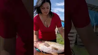 The queen's secret is to clean fish scales perfectly! 