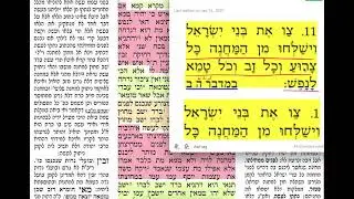 דף יומי מסכת פסחים דף סז Daf yomi Pesachim daf 67 שמואל נבון