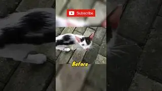 Before-After. 