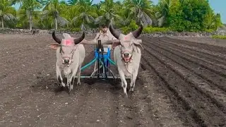 parvin bhai zala   (vavani)                @nikunjhudad7031