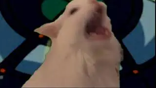 MY WOOOOOOORLD!!!