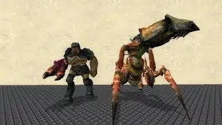 Alien Grunt vs Antlion Guard | NPC war in Garry's Mod