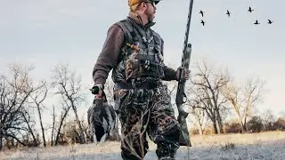 Montana River Mallards