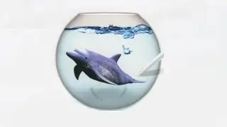 Aquarium by DS (OST)