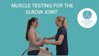 Muscle Testing for the Elbow Joint - 