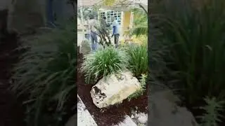 Mira Costa High School Ecoland restoration