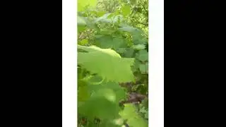 Каждый день приходит сюда....Жизнь в 86 лет!!!!🤔☝🏞