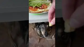 Чтобы не росла дупка😂 