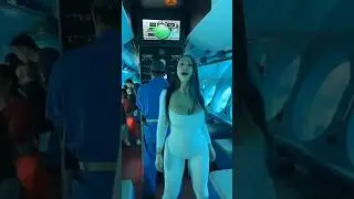 Clonando uma Super Gata em um Laboratório de DNA 🧬