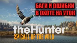 The Hunter Call of the Wild. Охота на уток. БАГИ с утками. Утиная охота сломалась. Не работает манок