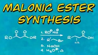Full Malonic Ester Synthesis Guide | General Scheme, Mechanism, and Practical Applications