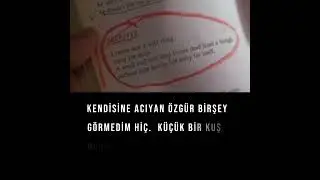 Self Pity (Jane'in Zaferi1997)#demimoore