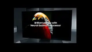 See brilliant pictures: Samsung OLED | Stunningly Slim | Powerful Dolby Atmos Sound System | Samsung