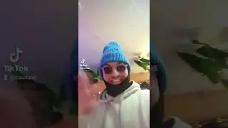 Pete, Lauri ja Sebu (ANIME)