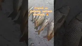 Старый на рыбалке/ Наловил крупных сазанов/ Рыбалка в Дагестане
