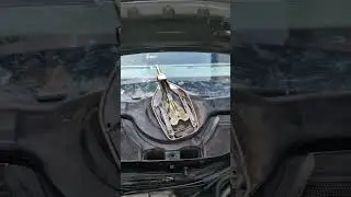 Mercedes mono wiper action