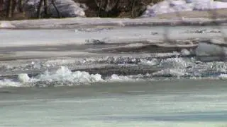 Ice